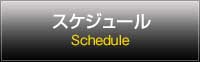 スケジュール